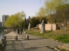 cimg7746