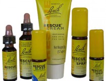 BachProducts-All